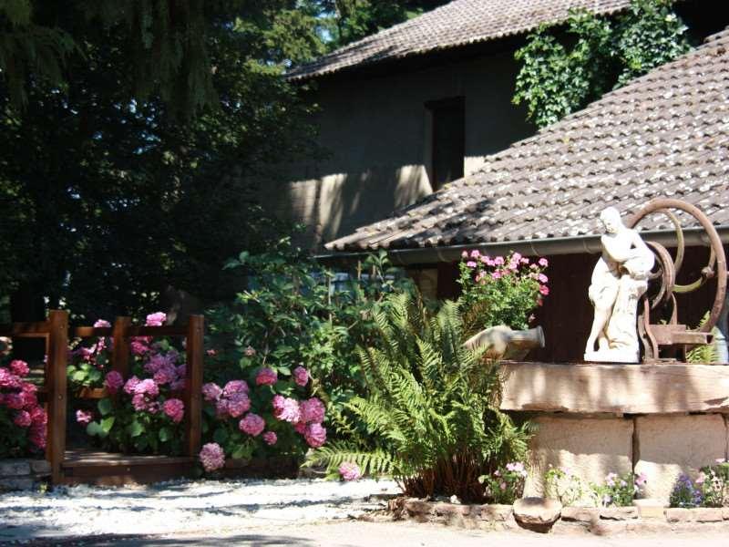 Hotel Du Moulin De La Brevette Arbigny Exterior photo